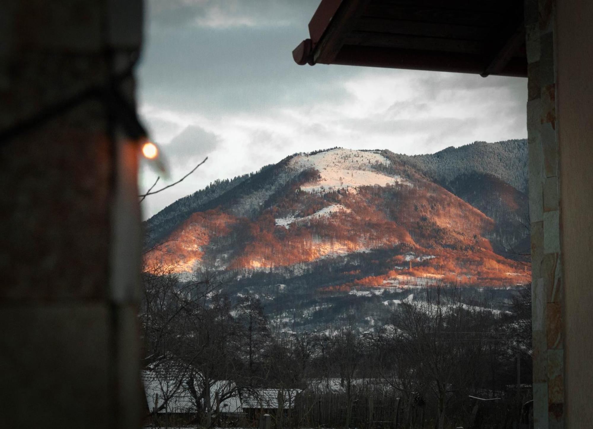 Therefuge Villa Curtea De Arges Bagian luar foto