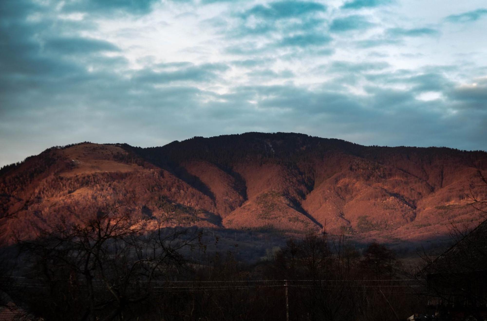 Therefuge Villa Curtea De Arges Bagian luar foto